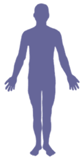 body silhouette image