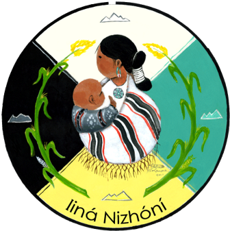 Navajo Birth Study