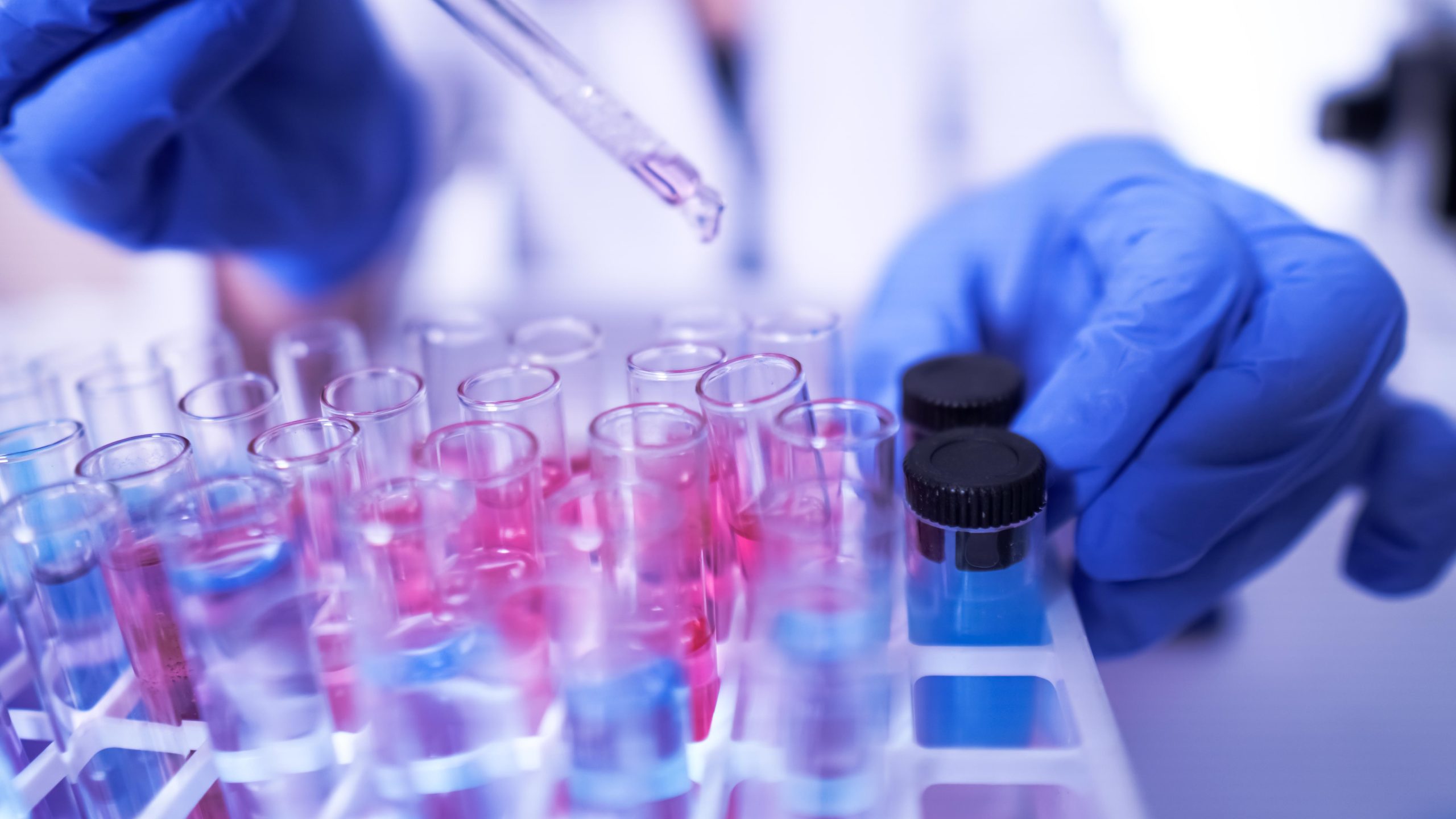 laboratory tube rack