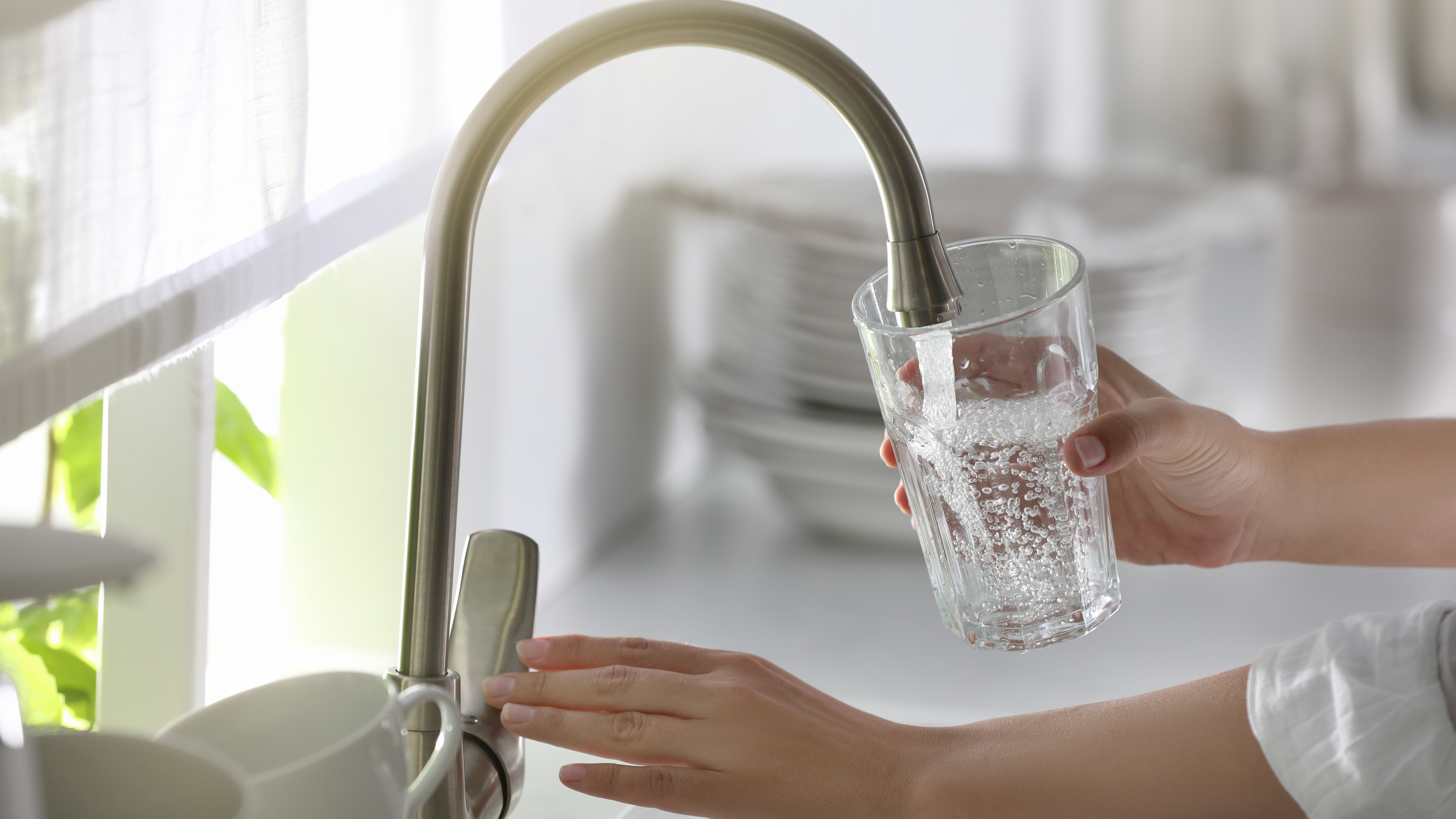 woman pouring water in glass