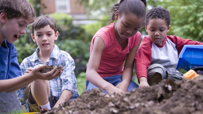 A group of children digging in the dirt.