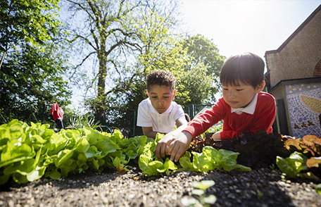 Two young boys tending a vegetable garden.
