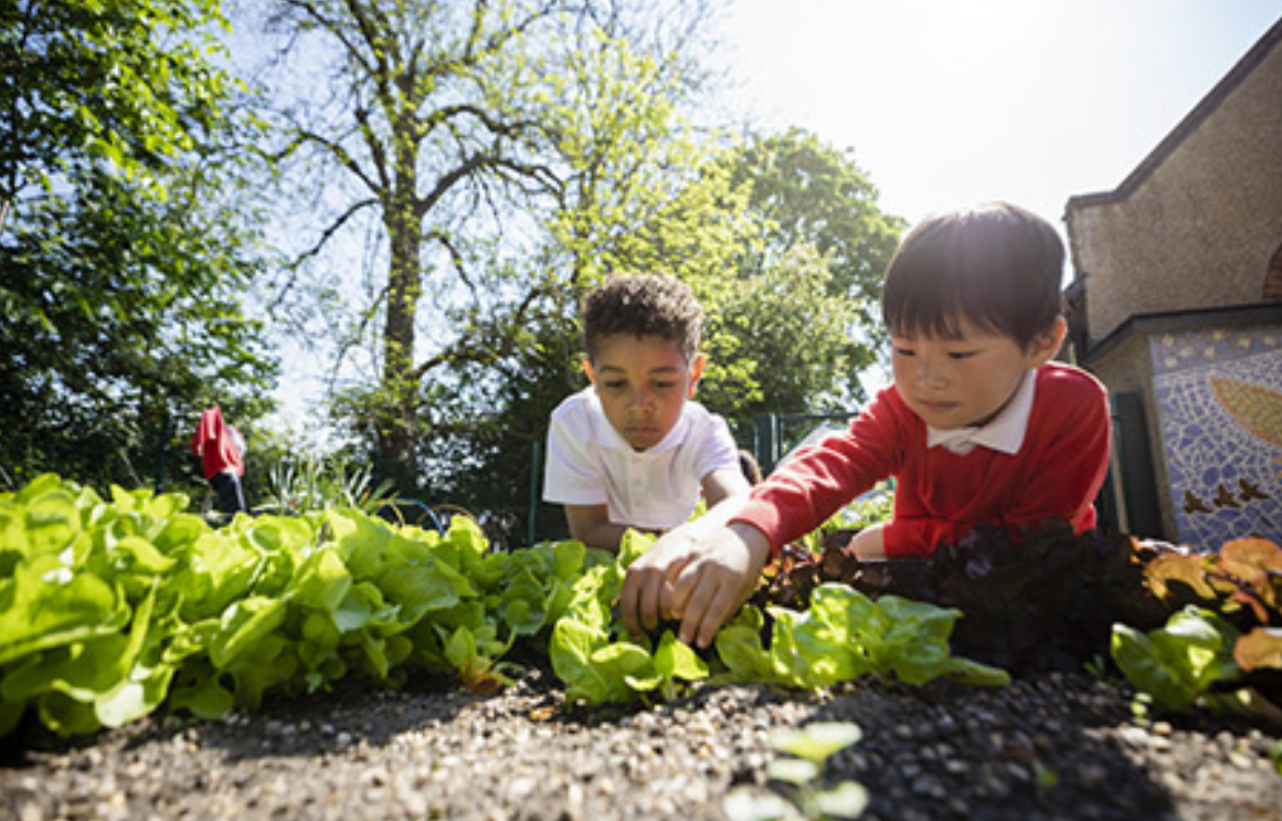 Children Playing in Dirt