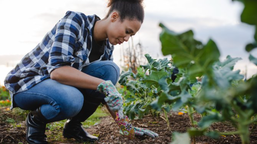 Woman gardening and touching soil.