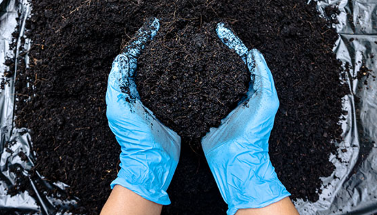 gloved hands holding soil