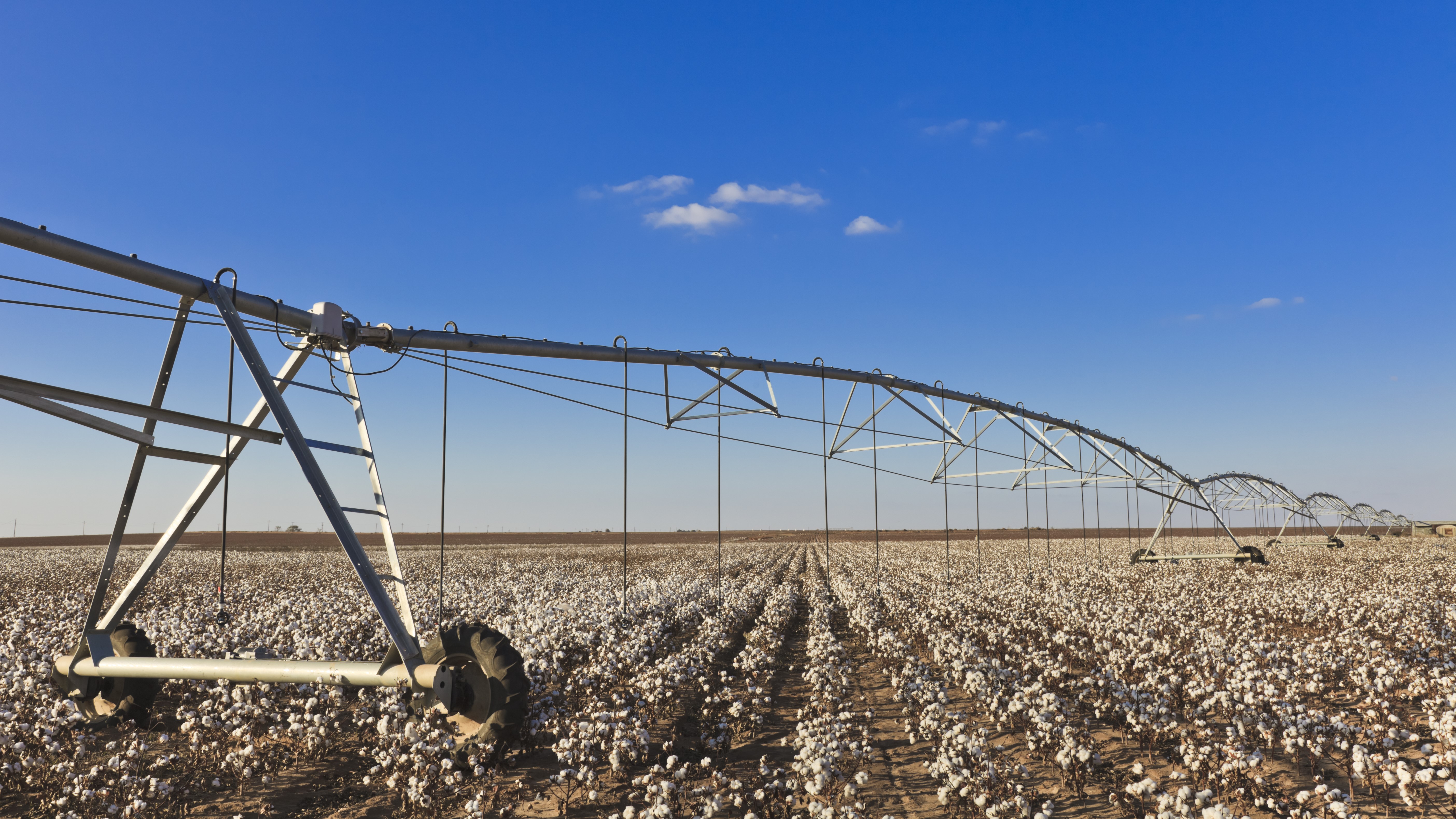 Crop field and irrigation equipment.