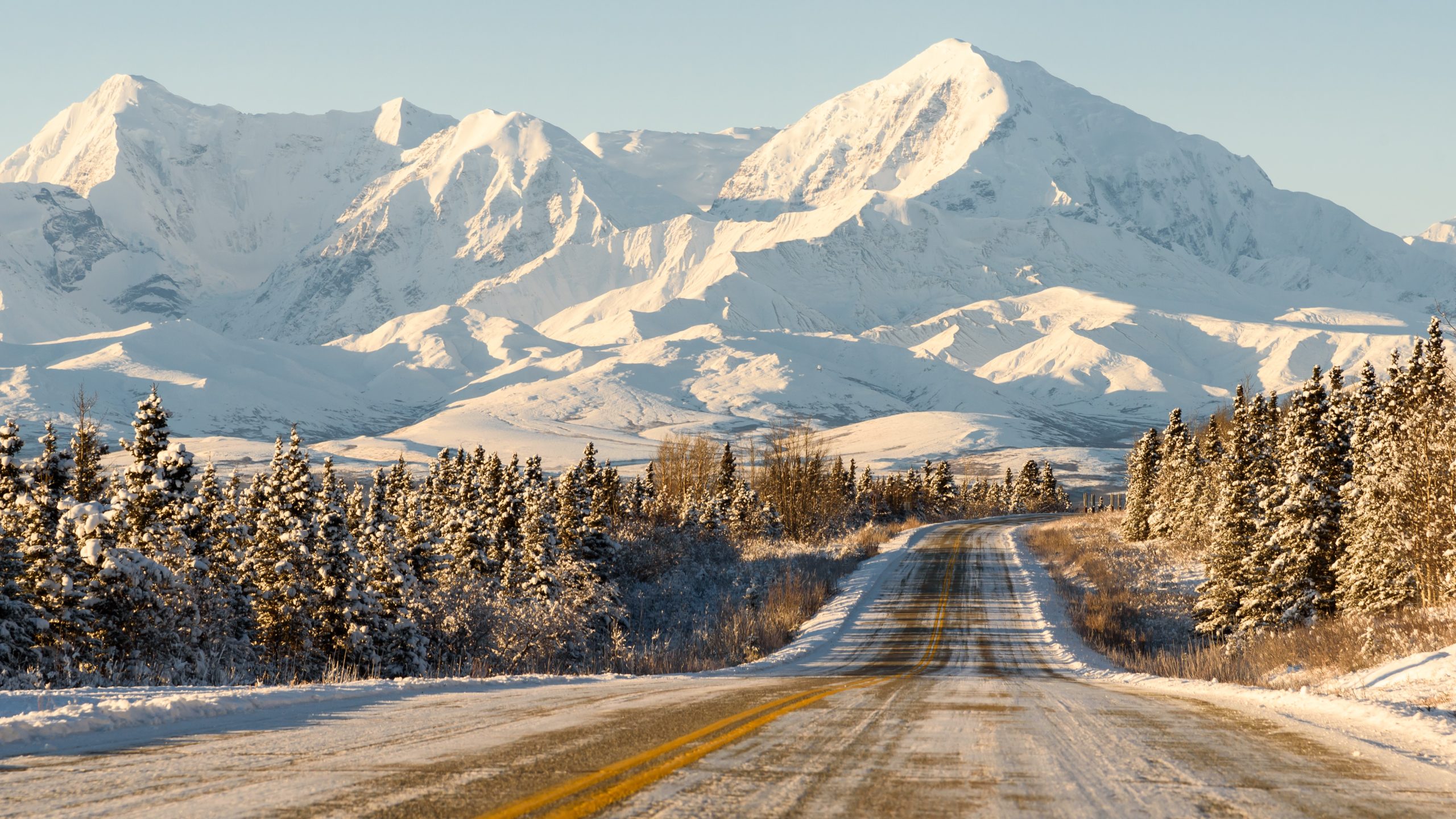 Pine-lined mountain road frosted with snow.