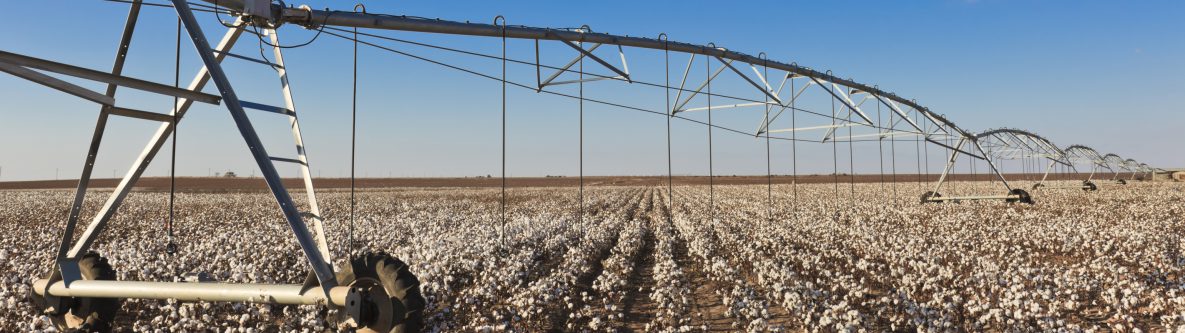 pivot circle irrigation equipment in cotton field