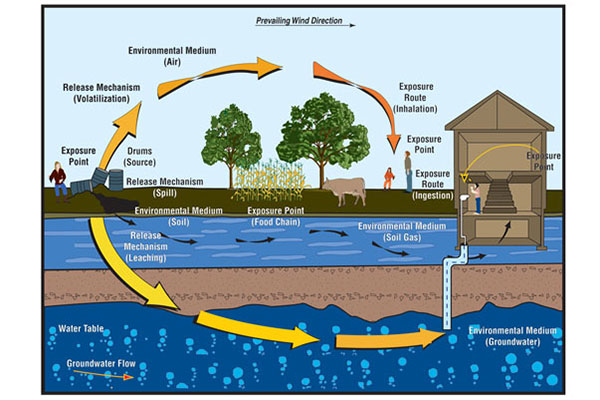 Example of a site conceptual model schematic