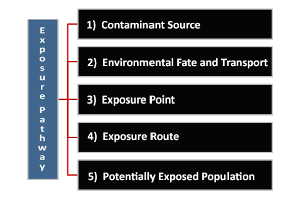 Exposure Pathway: Contaminant Source; Environmental Fate & Transport; Exposure Point, Route; Potentially Exposed Population