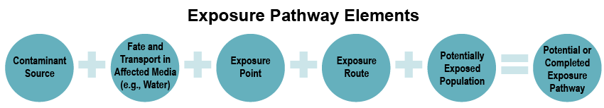 Exposure Pathway Elements diagram