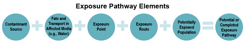 Diagram showing the exposure pathway elements