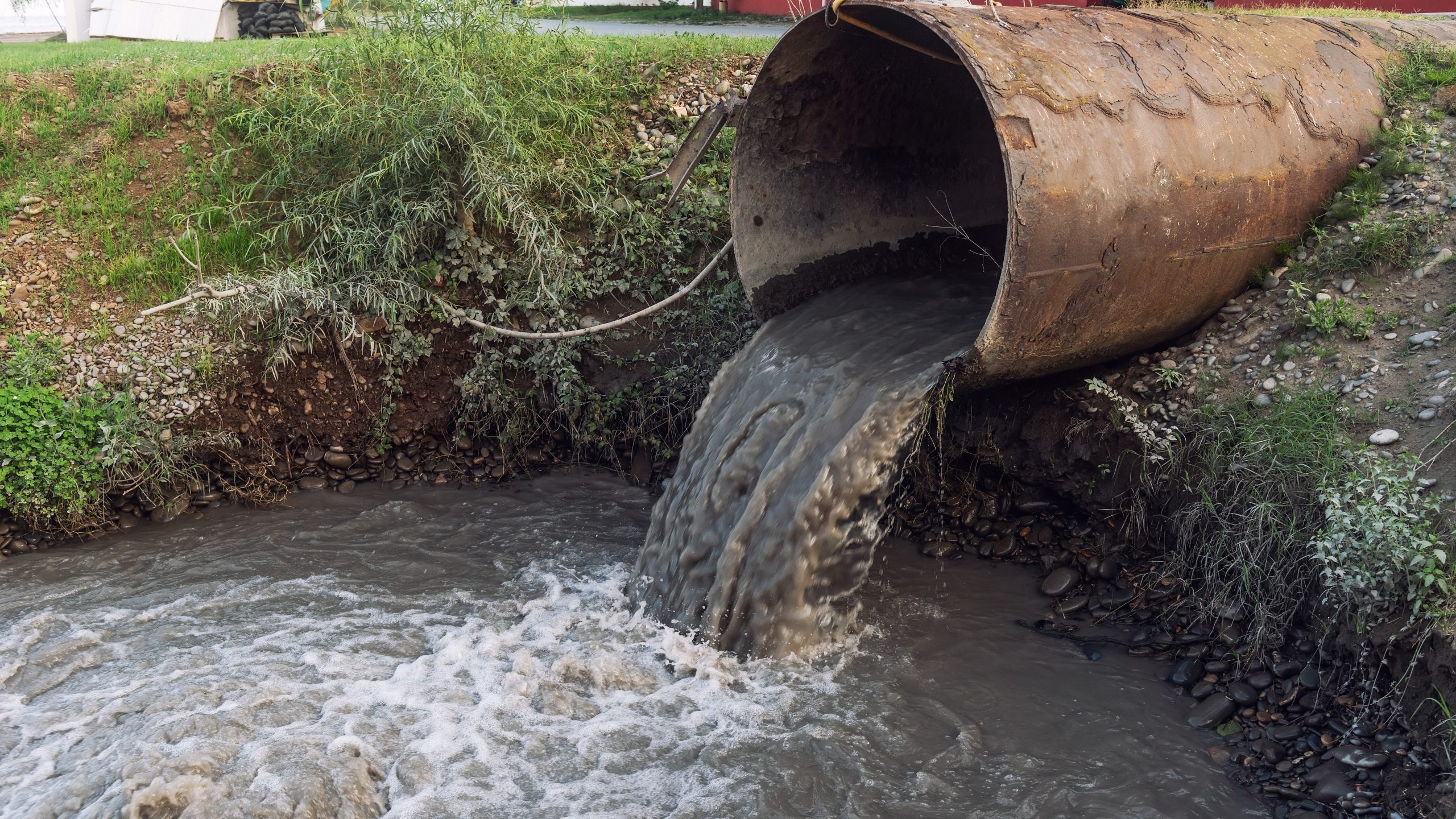 A pipe is spilling dirty sewage into the surface water.