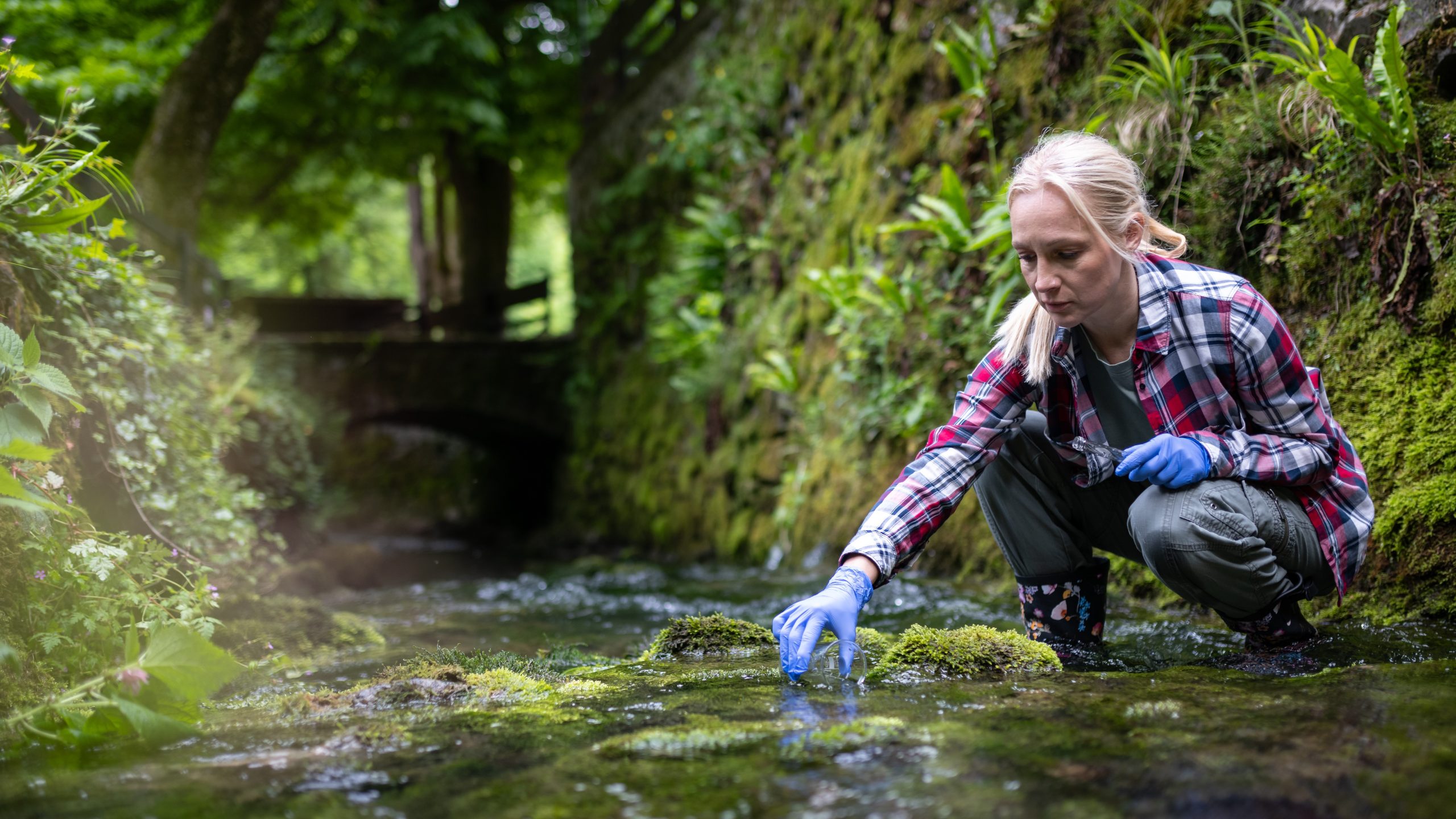 A woman research scientist collects water samples in a river.