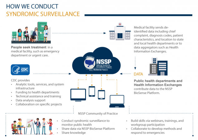 Decorative image of NSSP infographic