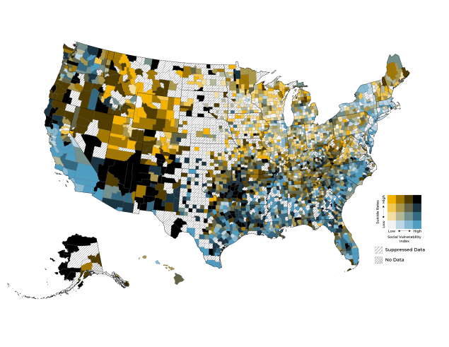 Map showing the bivariate geographic distribution of suicide rates