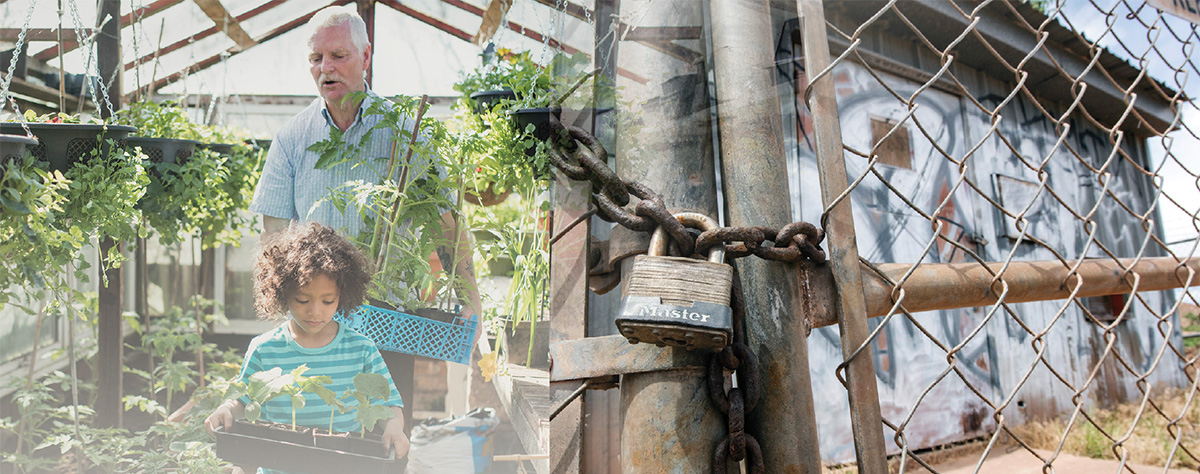 On left: an elderly man and a young boy carrying potted plants in a green house. On right: a padlock on a chain link gate.